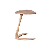 Amorph Palm Honey Stained Side Table Sculptural Accent Table