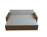 Modern Sofa Cum Bed – Space-Saving, Comfortable & Multi-Functional Furniture