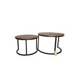 Solid Wood Nest Coffee Table