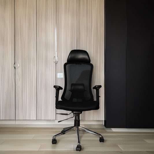 RIZ- Ergonomic Office Chair