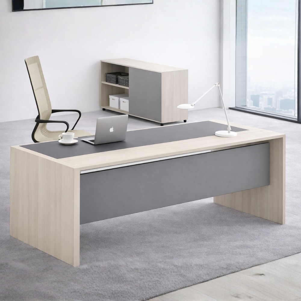Alpa – Minimal Executive Office Desk