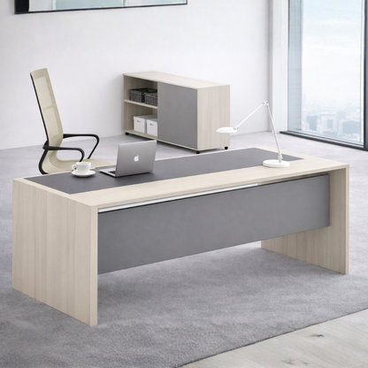 Alpa – Minimal Executive Office Desk