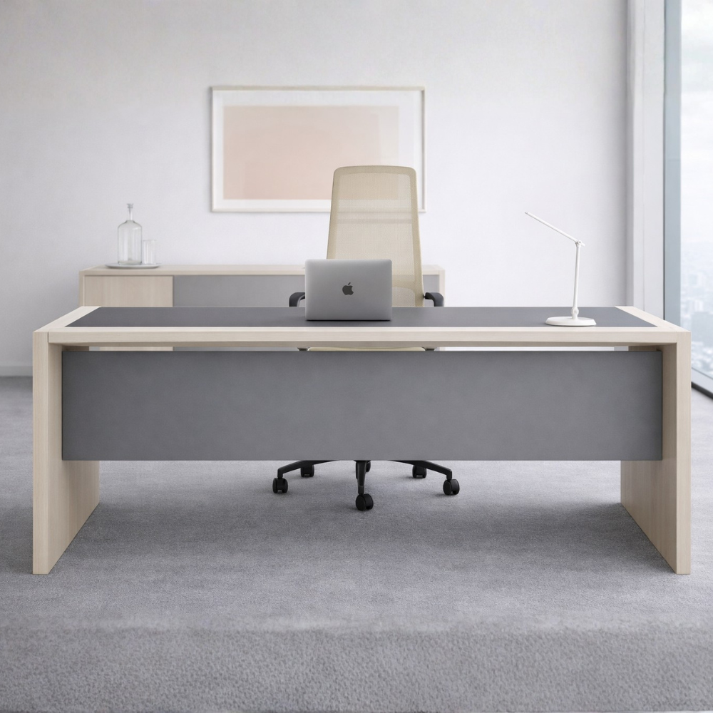 Alpa – Minimal Executive Office Desk