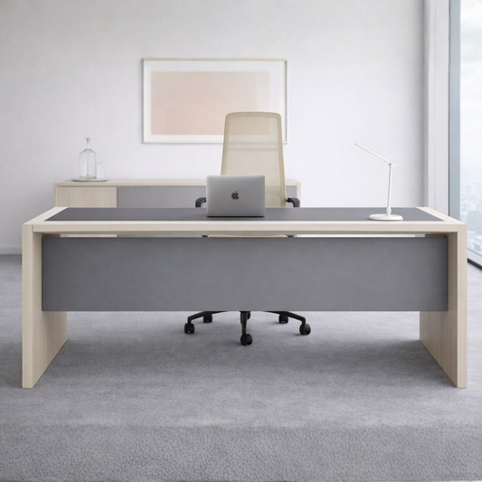Alpa – Minimal Executive Office Desk