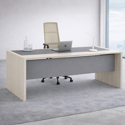 Alpa – Minimal Executive Office Desk