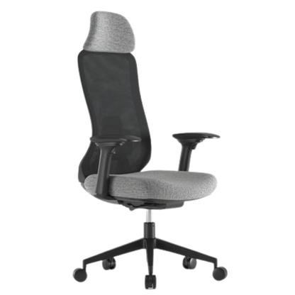 Ergova – Advanced Ergonomic Office Chair