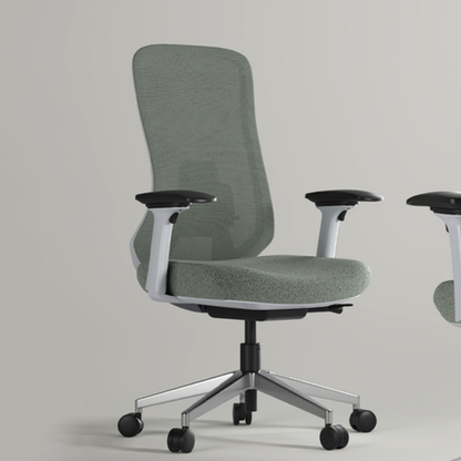 Ergova – Advanced Ergonomic Office Chair