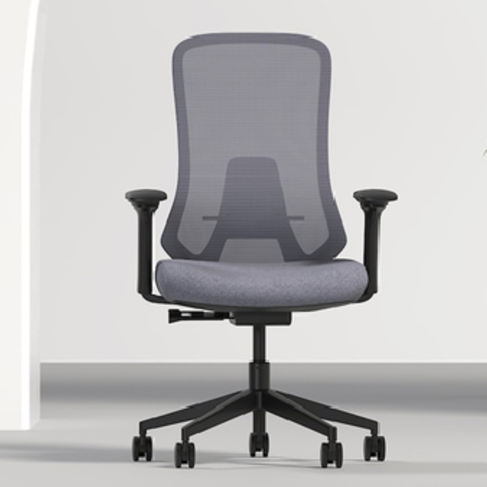 Ergova – Advanced Ergonomic Office Chair
