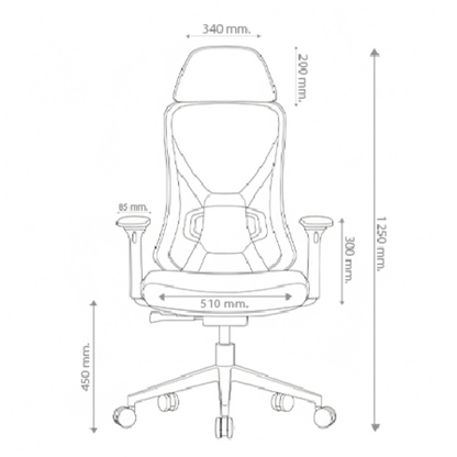 Ergova – Advanced Ergonomic Office Chair