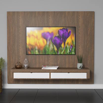 Modren  TV Entertainment Unit/ with Set Top Box Stand and Display Rack T.V Unit